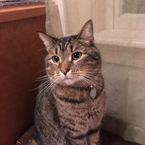 Meet your Posher, Victoria